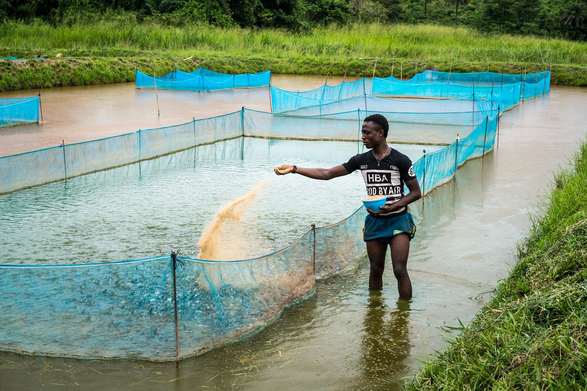 Fish Farming Happa Nets